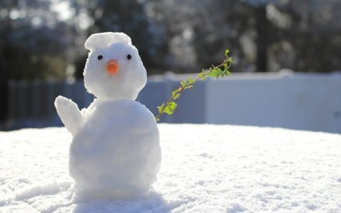 peter-zhang-0Y4WoiHGldU-unsplash